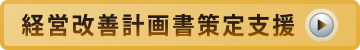 経営改善計画書策定支援